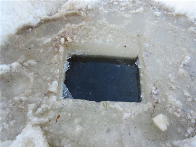 SQUARE